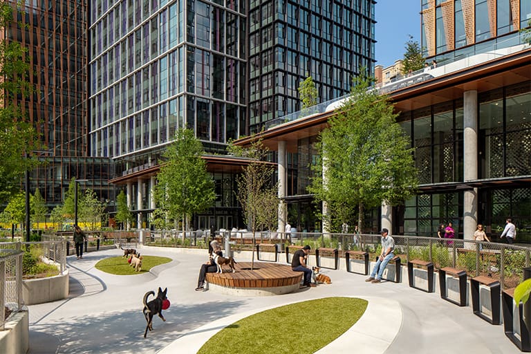 Amazon HQ2 Dog Park