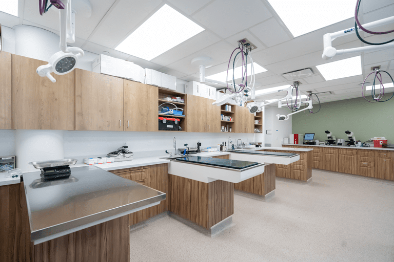 Friendship Hospital for Animals Veterinary Hospital